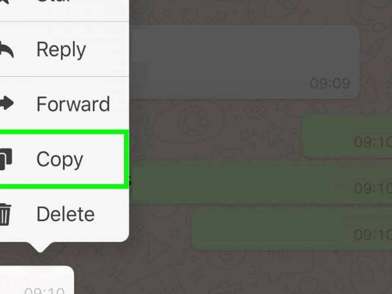 WhatsApp恢复聊天信息的方法