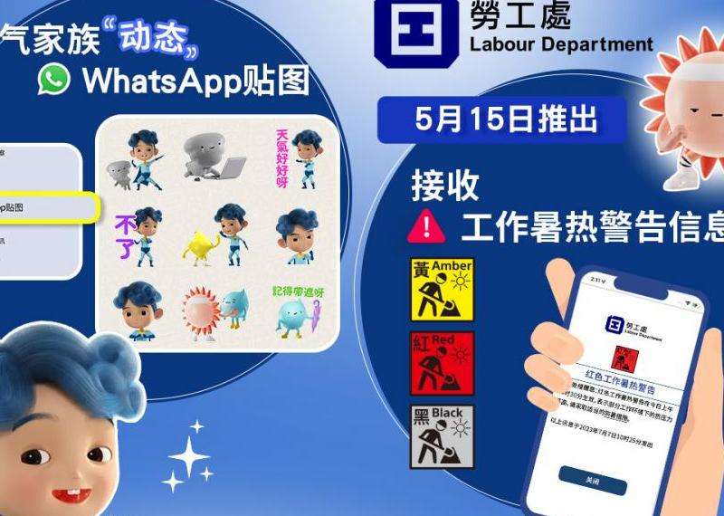 WhatsApp我的动态24小时消失：功能详解与使用技巧