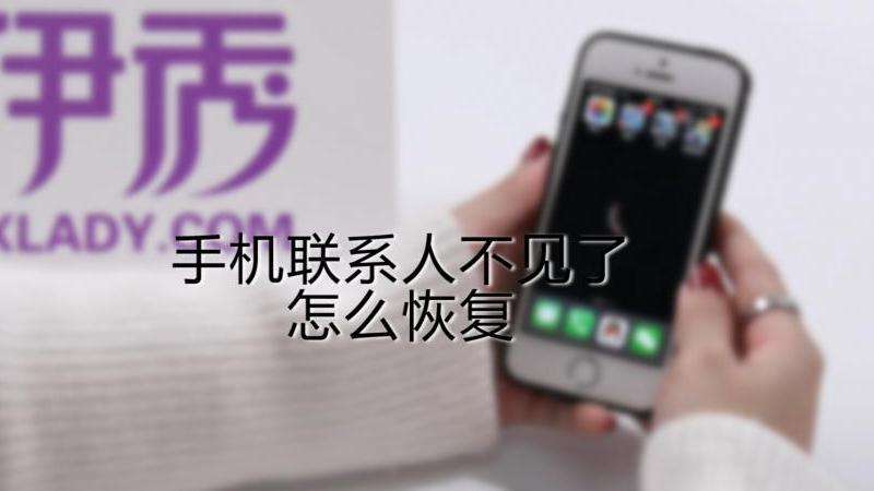 WhatsApp所有联系人不见了怎么恢复？