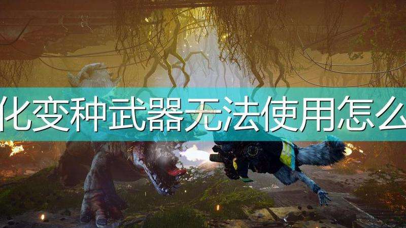 WhatsApp手机上无法使用解决技巧