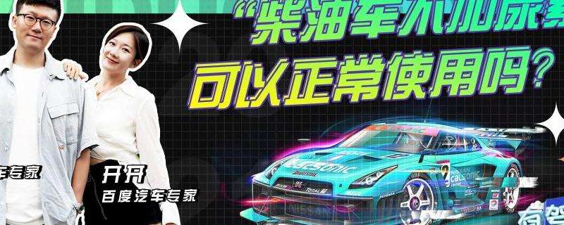 WhatsApp手机可以正常使用吗？
